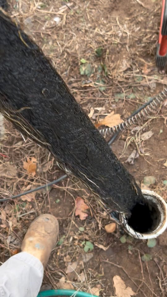 A standard 2-inch plumbing auger blade that leaves 80 percent of roots intact.