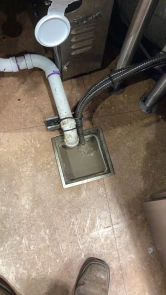 Commercial kitchen floor drain with the drain line and cleaning cable in place during a clog call