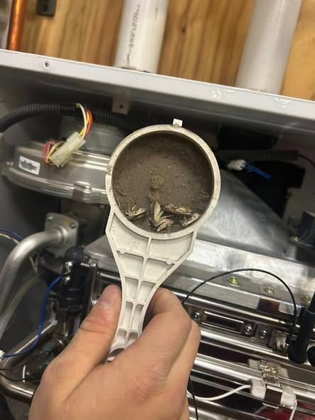Tankless intake air filter packed with dirt and dead insects, pulled during maintenance