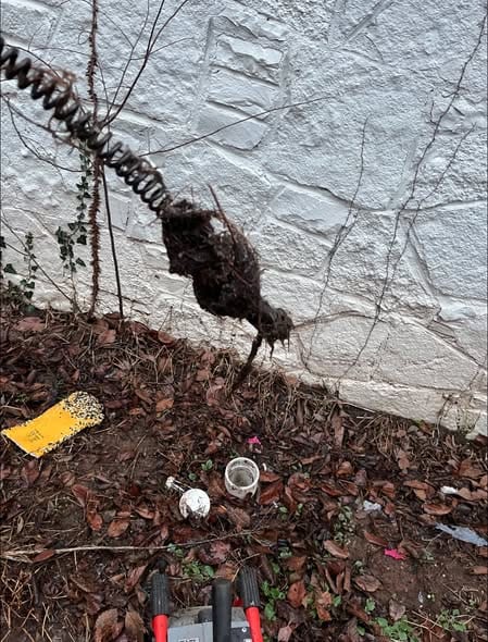 Mass of roots and debris pulled out on the sewer cable at an outdoor cleanout