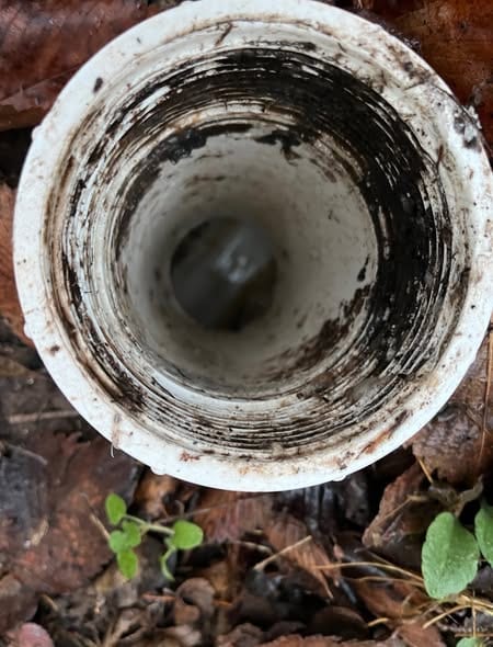 Looking down into an opened sewer cleanout after the line was cleared